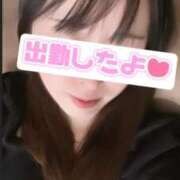 ヒメ日記 2026/02/13 12:14 投稿 まりな 綺麗なお姉様専門　新横浜リング4C（アンジェリークグループ）