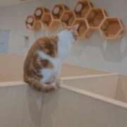 ヒメ日記 2025/05/14 19:22 投稿 みろ フェアリー町田