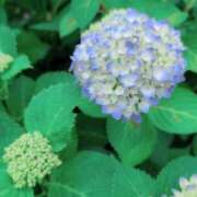 ヒメ日記 2025/06/01 18:45 投稿 みろ フェアリー町田