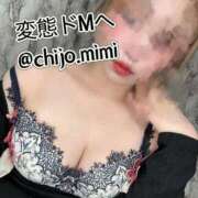 ヒメ日記 2025/04/12 14:16 投稿 みみ 広島痴女性感フェチ倶楽部