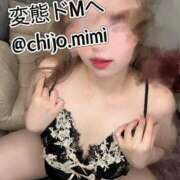 ヒメ日記 2025/04/14 15:06 投稿 みみ 広島痴女性感フェチ倶楽部