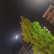 ヒメ日記 2025/04/27 21:48 投稿 宮春 里帆 人妻セレブ宮殿