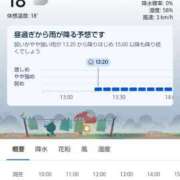 ヒメ日記 2025/04/28 09:04 投稿 宮春 里帆 人妻セレブ宮殿