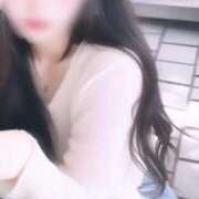 ヒメ日記 2025/04/29 14:08 投稿 あいす ワンダフル