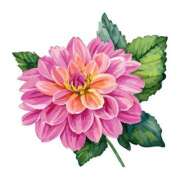 ヒメ日記 2025/05/29 02:12 投稿 柏木(かしわぎ) 相模原人妻城