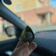 ヒメ日記 2025/07/20 12:00 投稿 柏木(かしわぎ) 相模原人妻城