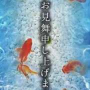ヒメ日記 2025/07/25 14:51 投稿 柏木(かしわぎ) 相模原人妻城
