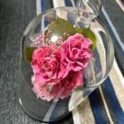 ヒメ日記 2025/07/27 06:06 投稿 柏木(かしわぎ) 相模原人妻城