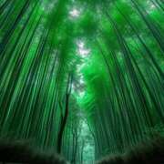 ヒメ日記 2025/08/20 13:42 投稿 柏木(かしわぎ) 相模原人妻城