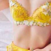 ヒメ日記 2026/01/23 05:24 投稿 柏木(かしわぎ) 相模原人妻城