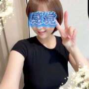 ヒメ日記 2026/04/21 07:42 投稿 柏木(かしわぎ) 相模原人妻城