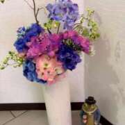 ヒメ日記 2026/06/23 02:33 投稿 柏木(かしわぎ) 相模原人妻城