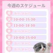 ヒメ日記 2026/01/12 17:02 投稿 りえ ハンドキャンパス池袋