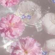 ヒメ日記 2025/03/31 15:21 投稿 新人・杏(あん) グランドオペラ福岡