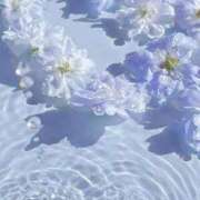 ヒメ日記 2025/03/31 20:02 投稿 新人・杏(あん) グランドオペラ福岡