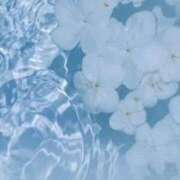 ヒメ日記 2025/04/02 09:41 投稿 新人・杏(あん) グランドオペラ福岡