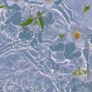 ヒメ日記 2025/04/03 02:15 投稿 新人・杏(あん) グランドオペラ福岡