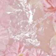 ヒメ日記 2025/04/03 12:28 投稿 新人・杏(あん) グランドオペラ福岡