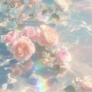 ヒメ日記 2025/04/03 19:31 投稿 新人・杏(あん) グランドオペラ福岡