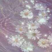 ヒメ日記 2025/04/04 13:41 投稿 新人・杏(あん) グランドオペラ福岡