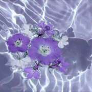 ヒメ日記 2025/04/04 15:51 投稿 新人・杏(あん) グランドオペラ福岡