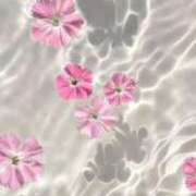 ヒメ日記 2025/04/04 19:22 投稿 新人・杏(あん) グランドオペラ福岡