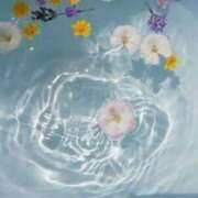 ヒメ日記 2025/04/05 11:31 投稿 新人・杏(あん) グランドオペラ福岡