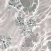 ヒメ日記 2025/04/05 13:21 投稿 新人・杏(あん) グランドオペラ福岡