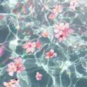 ヒメ日記 2025/04/08 23:31 投稿 新人・杏(あん) グランドオペラ福岡