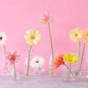 ヒメ日記 2025/05/31 18:37 投稿 新人・杏(あん) グランドオペラ福岡