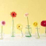 ヒメ日記 2025/06/26 07:26 投稿 新人・杏(あん) グランドオペラ福岡