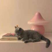 新人・杏(あん) 次回♡ グランドオペラ福岡