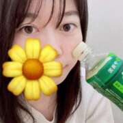 ヒメ日記 2025/05/03 10:59 投稿 あんな 東京リップ 渋谷店