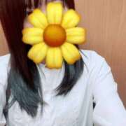 ヒメ日記 2025/07/07 23:36 投稿 あんな 東京リップ 渋谷店