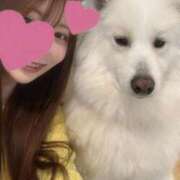 ヒメ日記 2026/03/19 02:23 投稿 森永 あすか 奇跡的にかわいい! ファーストクラス ルビー