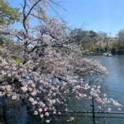 ヒメ日記 2025/04/12 01:17 投稿 よみ 東京メンズボディクリニック TMBC 立川店