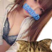 ヒメ日記 2025/04/04 10:01 投稿 鳳仙　れお OLセレクション宇都宮店