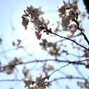 ヒメ日記 2026/04/03 00:05 投稿 吉井 Mrs.Deep SPA（ディープスパ）