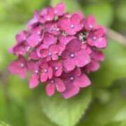 ヒメ日記 2026/06/13 12:15 投稿 吉井 Mrs.Deep SPA（ディープスパ）