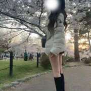 ヒメ日記 2025/04/09 20:23 投稿 ☆妖精【フェアリー】☆ club MUTEKI