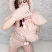 ヒメ日記 2026/02/20 08:41 投稿 つばき（極上SPコース対応） LIGHT（ライト）～光が導く無限の可能性～