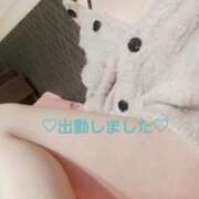 ヒメ日記 2025/11/29 17:31 投稿 いずみ【ロイヤルOP対応】 あなたの全てを包み込む　優しいひとづま