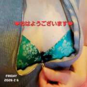 ヒメ日記 2026/02/06 09:50 投稿 いずみ【ロイヤルOP対応】 あなたの全てを包み込む　優しいひとづま