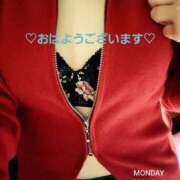 ヒメ日記 2026/02/16 10:00 投稿 いずみ【ロイヤルOP対応】 あなたの全てを包み込む　優しいひとづま