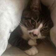 ヒメ日記 2025/04/02 19:18 投稿 るり★純白な地元未経験♡ Fuwa×Fuwaかなざわ。