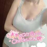 ヒメ日記 2025/04/06 11:33 投稿 みいな 沖縄素人図鑑