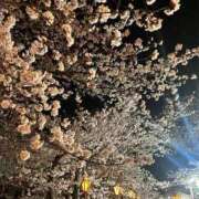 ヒメ日記 2025/04/25 11:49 投稿 愛寧【アイネ】 LOVEキタ兎我野店