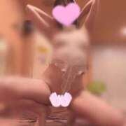 ヒメ日記 2025/05/10 10:42 投稿 ゆの お姉京都