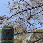 ヒメ日記 2026/03/29 13:06 投稿 秋穂 モアグループ所沢人妻城