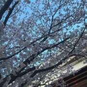 ヒメ日記 2025/04/07 18:55 投稿 あや 金瓶梅(きんぺいぱい)(雄琴)